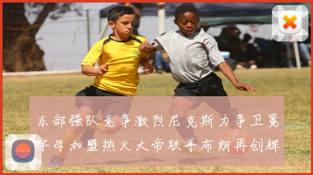 东部强队竞争激烈尼克斯力争卫冕字母加盟热火大帝联手布朗再创辉煌