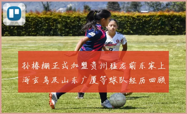 孙椿棚正式加盟贵州猛龙前东家上海玄鸟及山东广厦等球队经历回顾