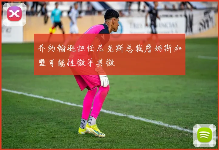 乔约翰逊担任尼克斯总裁詹姆斯加盟可能性微乎其微